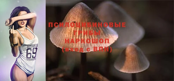 гашишное масло Заводоуковск