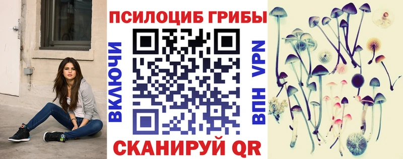 Псилоцибиновые грибы MAGIC MUSHROOMS  Купить  Пионерский 
