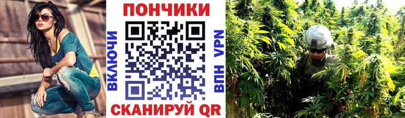Купить  Пионерский  Канабис Amnesia 